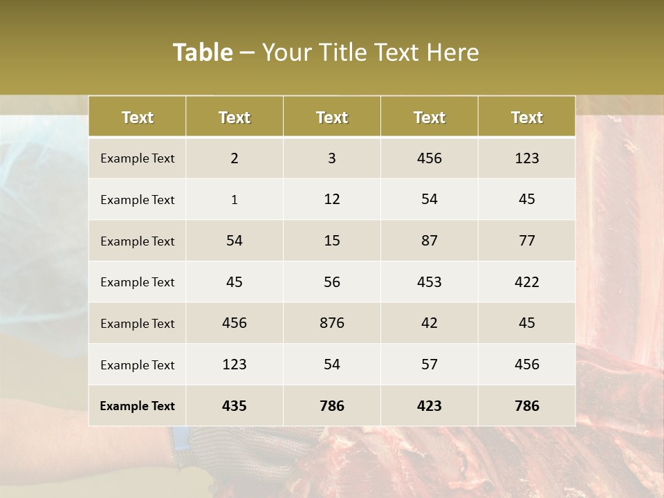 Production Industry Act PowerPoint Template