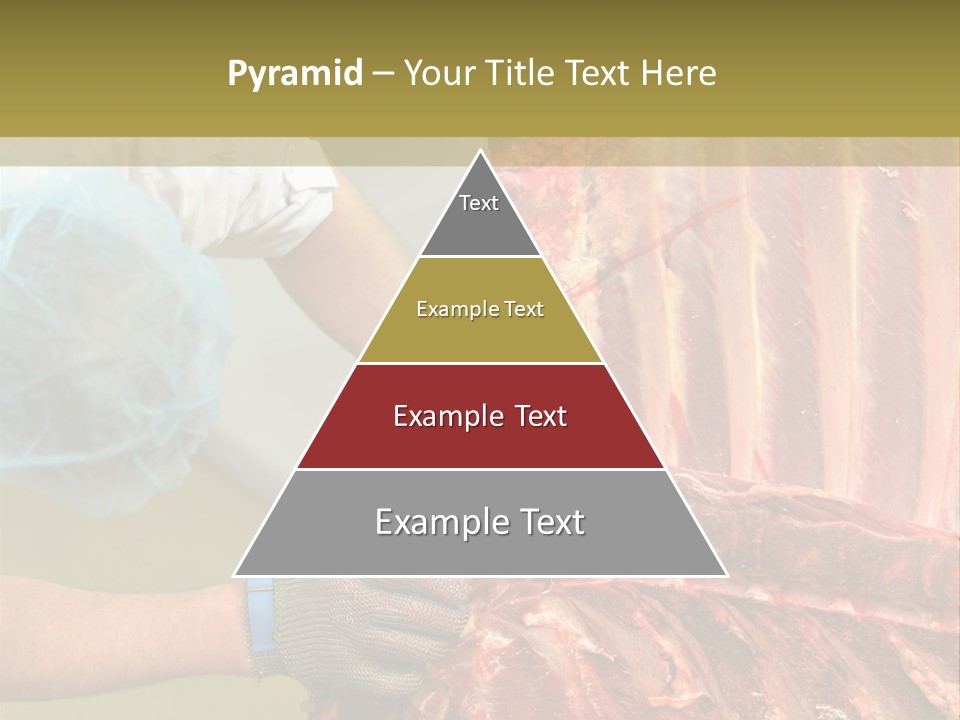 Production Industry Act PowerPoint Template