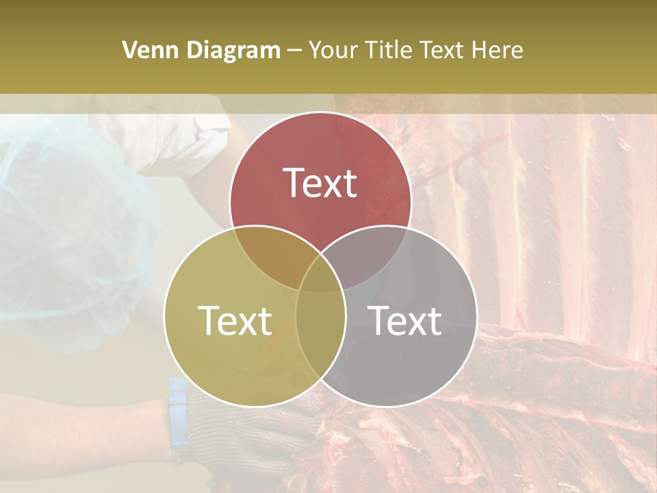 Production Industry Act PowerPoint Template