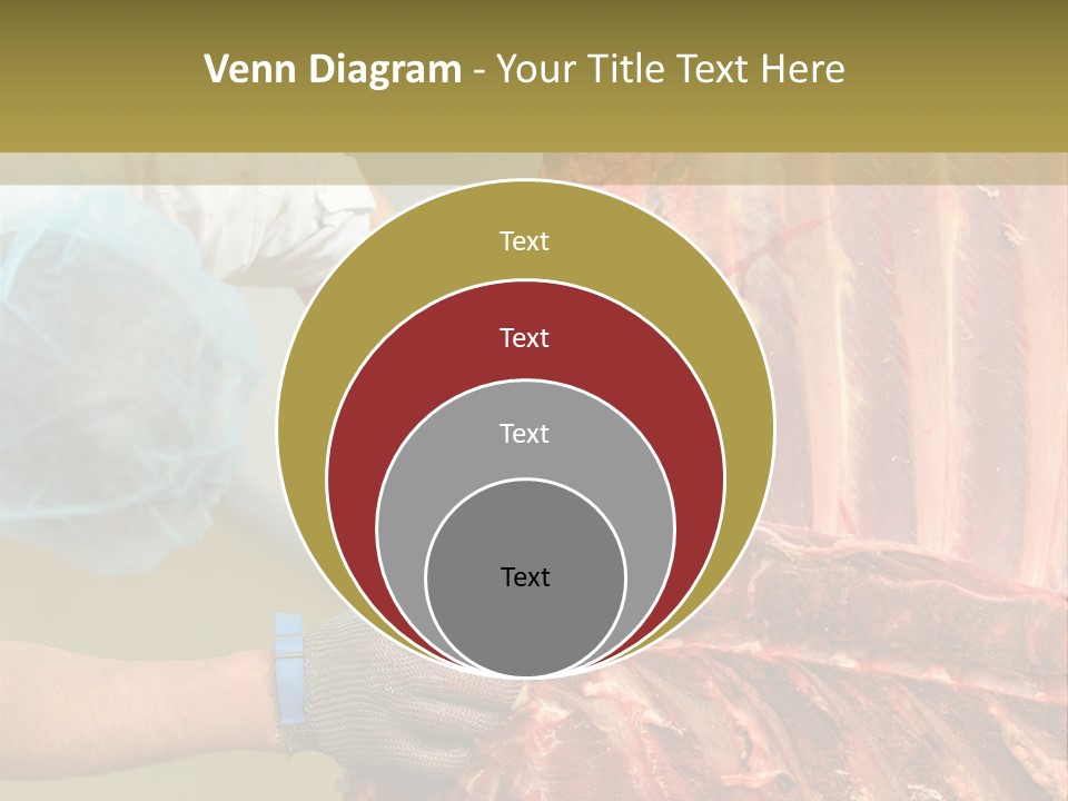 Production Industry Act PowerPoint Template