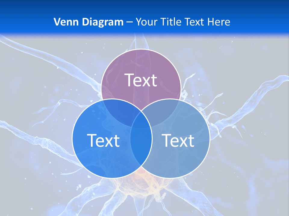 Nerve Head Electron PowerPoint Template