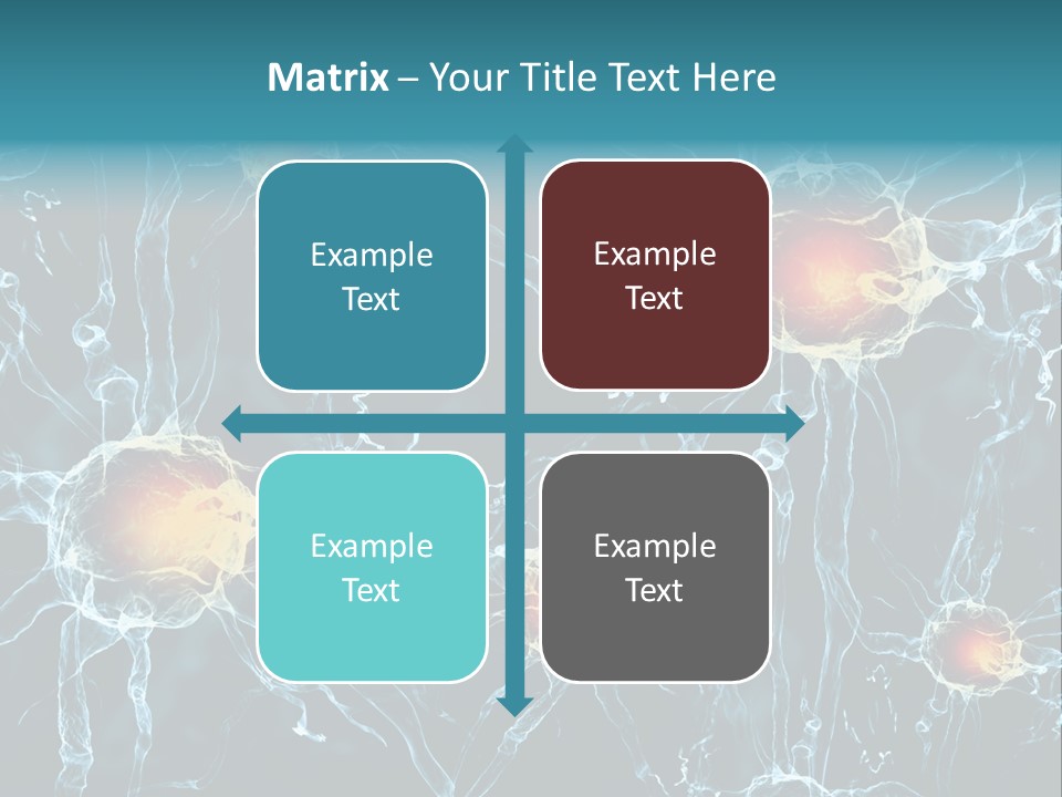 Medical Anatomy Transfer PowerPoint Template