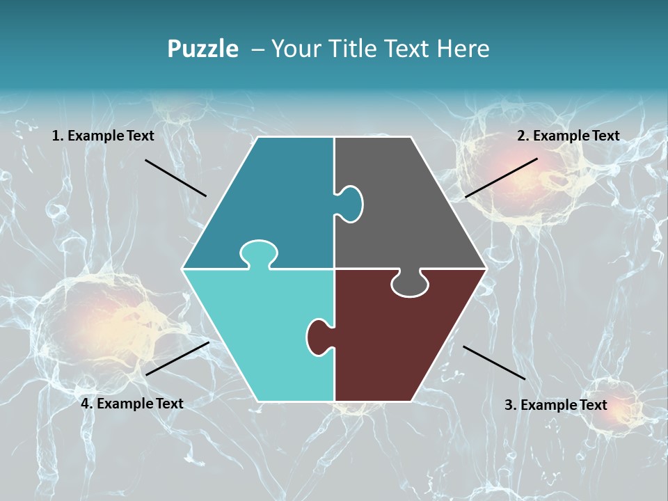 Medical Anatomy Transfer PowerPoint Template