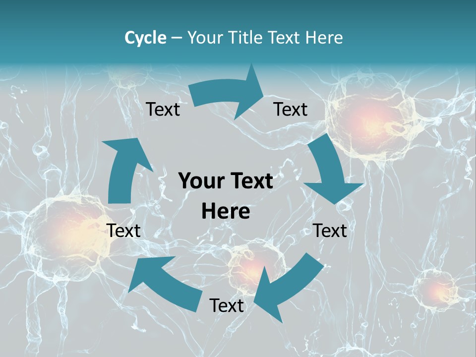 Medical Anatomy Transfer PowerPoint Template