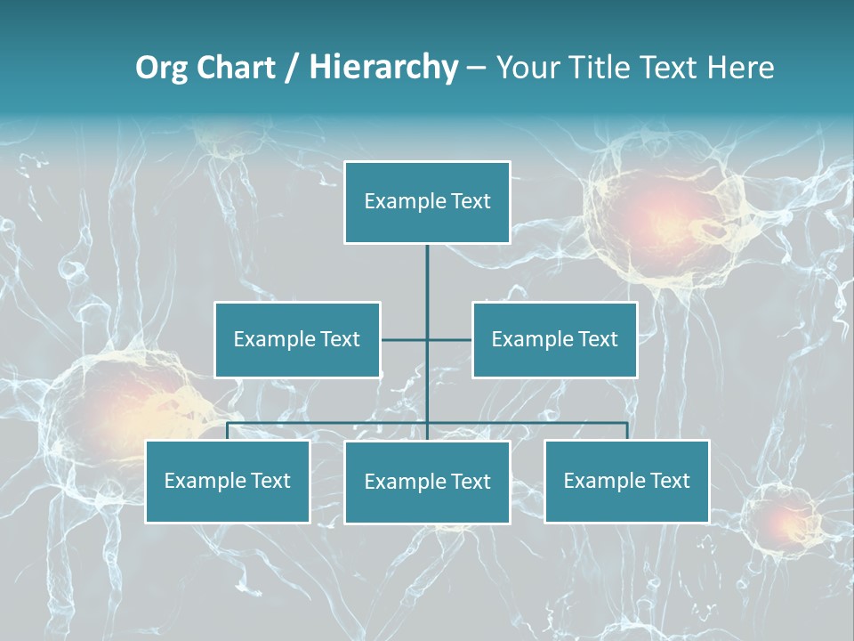 Medical Anatomy Transfer PowerPoint Template