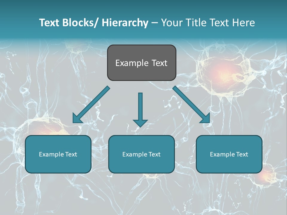Medical Anatomy Transfer PowerPoint Template