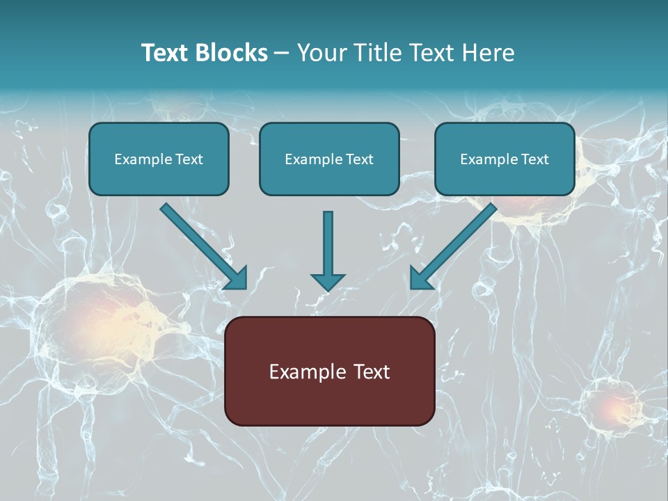 Medical Anatomy Transfer PowerPoint Template