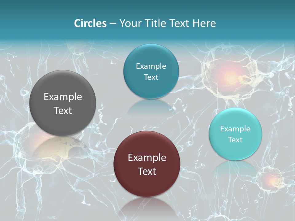Medical Anatomy Transfer PowerPoint Template