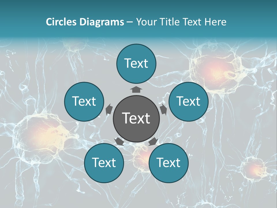Medical Anatomy Transfer PowerPoint Template