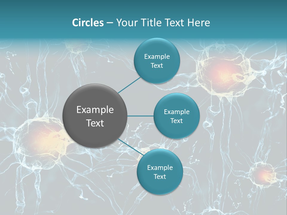 Medical Anatomy Transfer PowerPoint Template