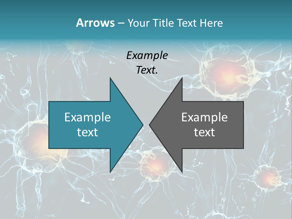 Medical Anatomy Transfer PowerPoint Template