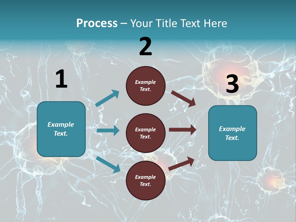 Medical Anatomy Transfer PowerPoint Template