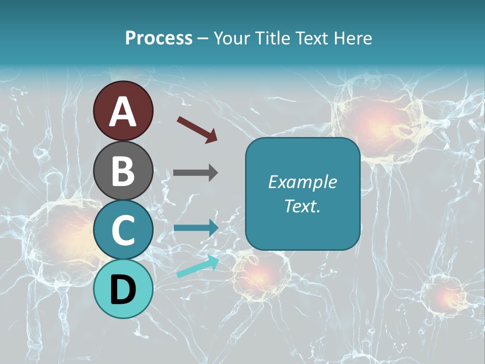 Medical Anatomy Transfer PowerPoint Template