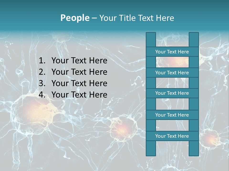 Medical Anatomy Transfer PowerPoint Template