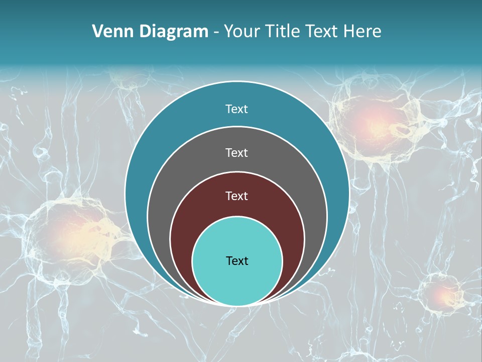 Medical Anatomy Transfer PowerPoint Template