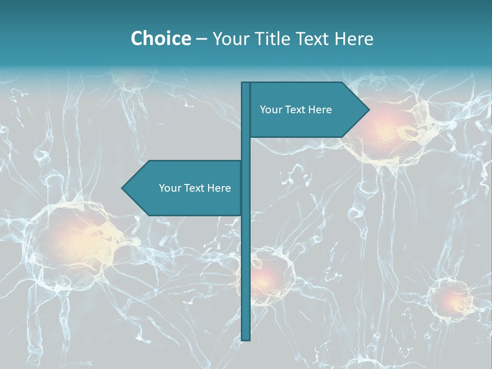 Medical Anatomy Transfer PowerPoint Template