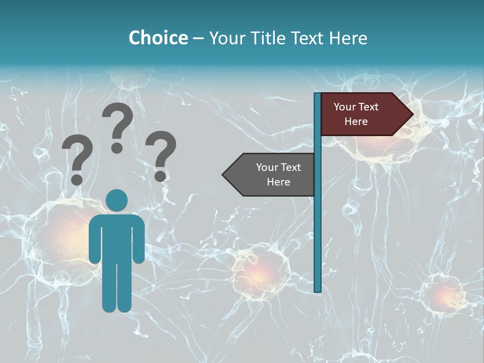 Medical Anatomy Transfer PowerPoint Template