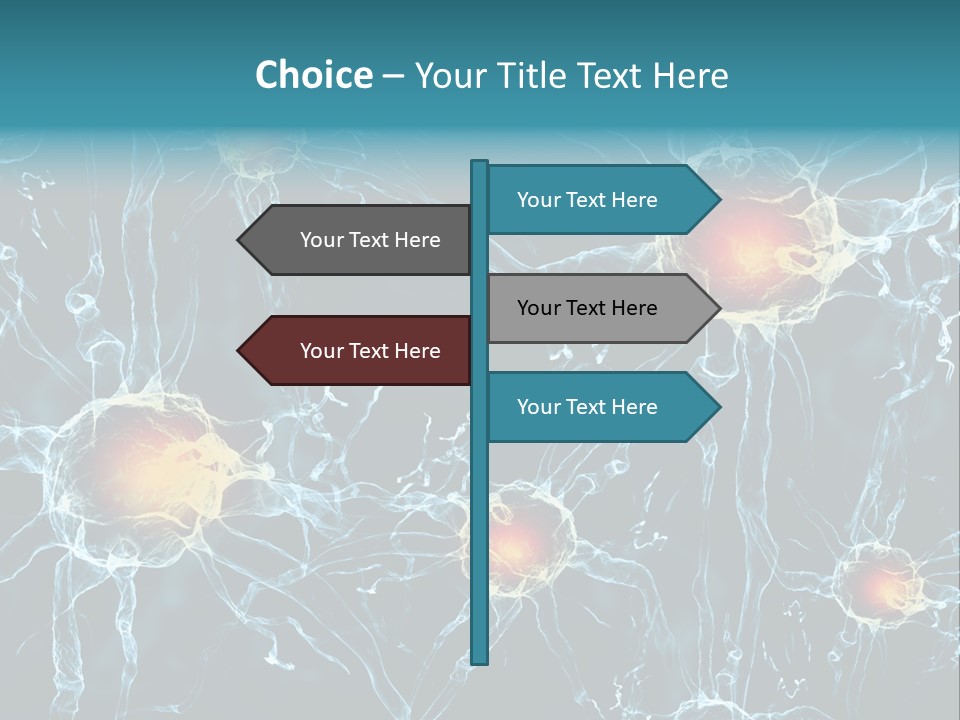 Medical Anatomy Transfer PowerPoint Template