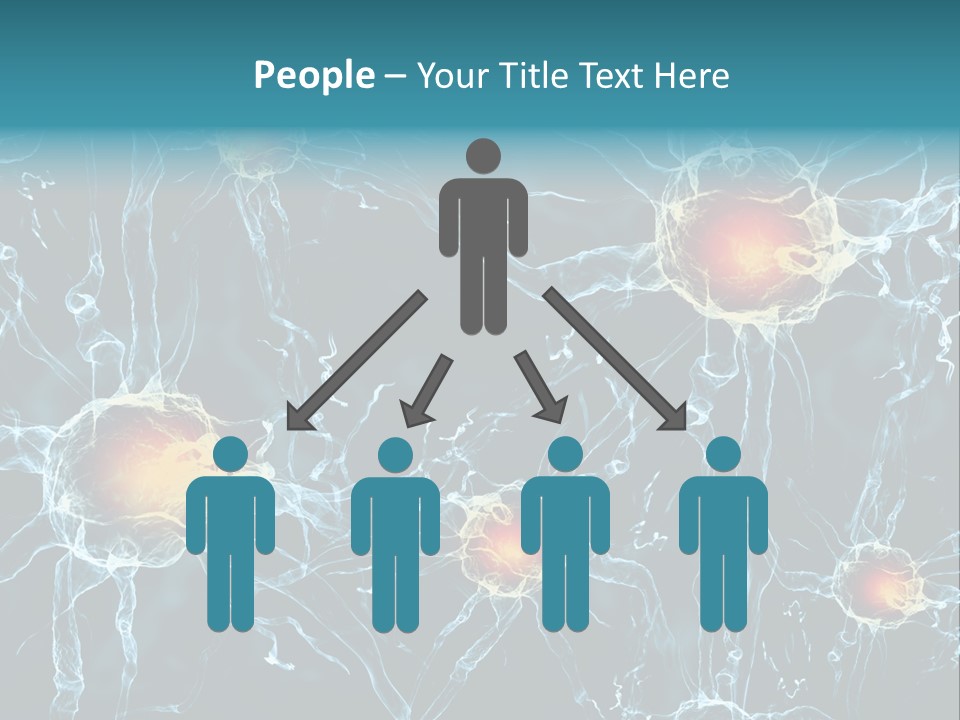 Medical Anatomy Transfer PowerPoint Template