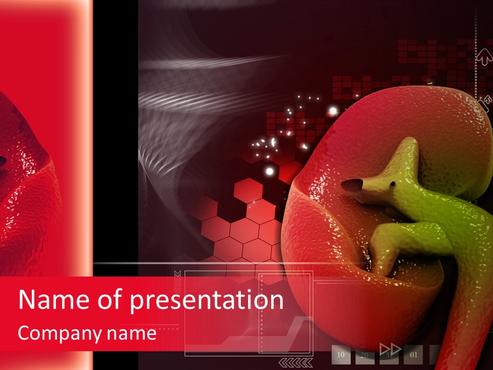 Kidney Pelvis Effect PowerPoint Template