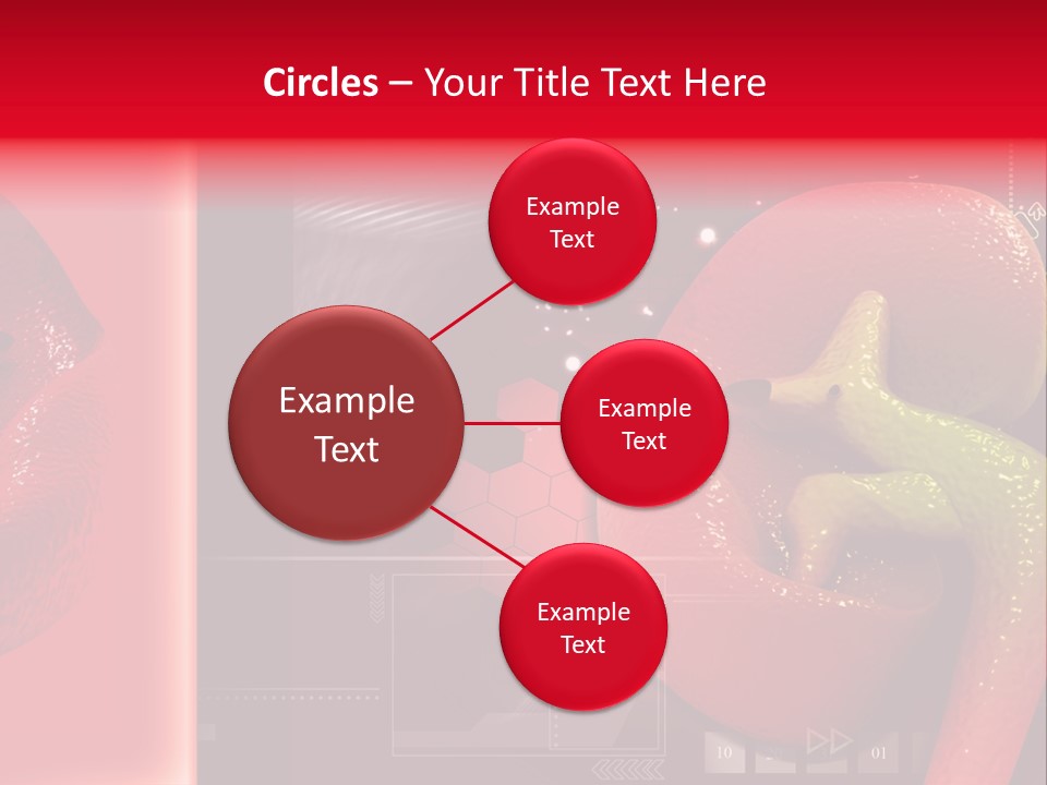 Kidney Pelvis Effect PowerPoint Template