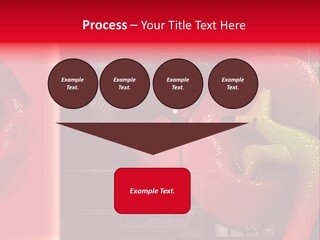 Kidney Pelvis Effect PowerPoint Template