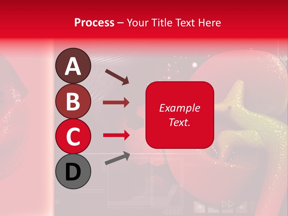 Kidney Pelvis Effect PowerPoint Template