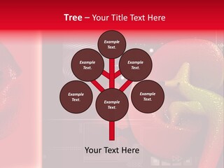 Kidney Pelvis Effect PowerPoint Template