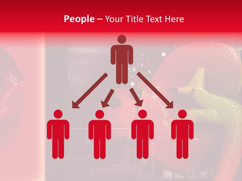 Kidney Pelvis Effect PowerPoint Template
