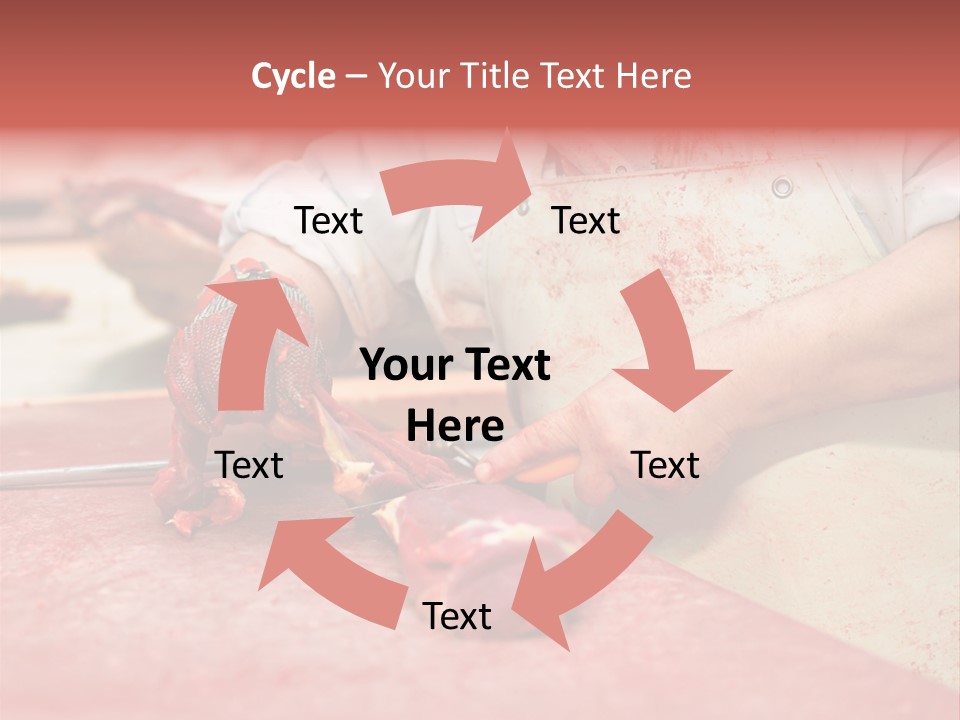 Tier Ern Fleischskandal PowerPoint Template