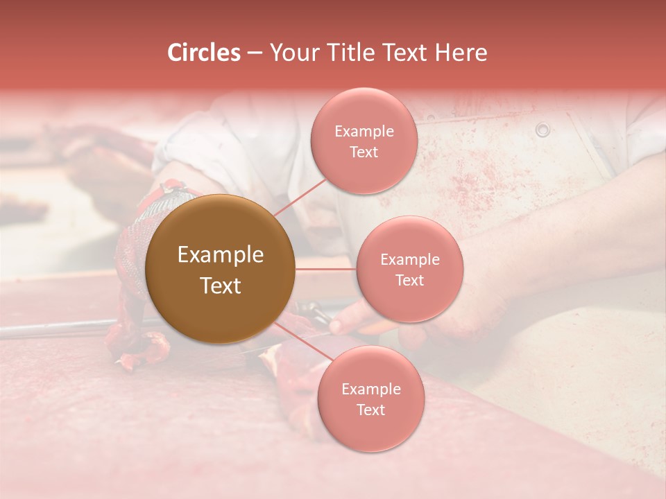 Tier Ern Fleischskandal PowerPoint Template