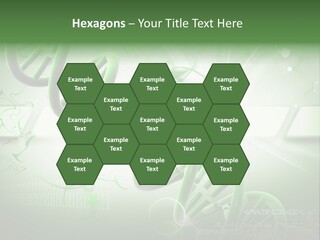 Organ Illustration Cell PowerPoint Template