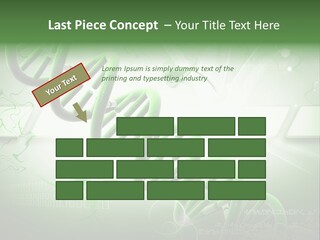 Organ Illustration Cell PowerPoint Template