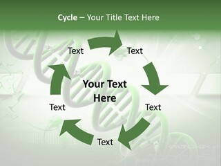 Organ Illustration Cell PowerPoint Template