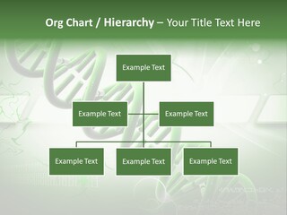 Organ Illustration Cell PowerPoint Template