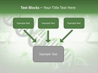 Organ Illustration Cell PowerPoint Template