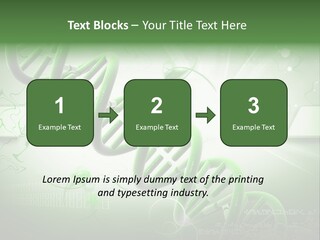 Organ Illustration Cell PowerPoint Template