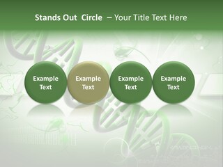 Organ Illustration Cell PowerPoint Template