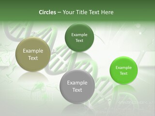 Organ Illustration Cell PowerPoint Template
