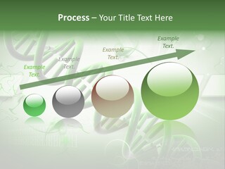 Organ Illustration Cell PowerPoint Template