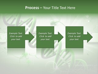 Organ Illustration Cell PowerPoint Template