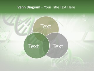 Organ Illustration Cell PowerPoint Template