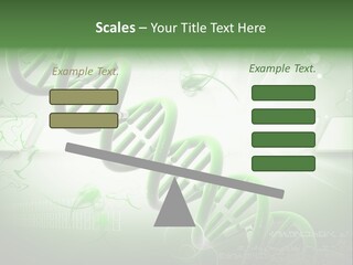 Organ Illustration Cell PowerPoint Template