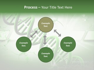 Organ Illustration Cell PowerPoint Template