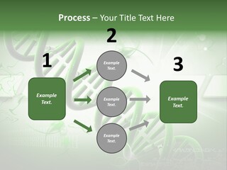 Organ Illustration Cell PowerPoint Template