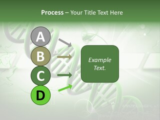 Organ Illustration Cell PowerPoint Template