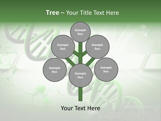 Organ Illustration Cell PowerPoint Template