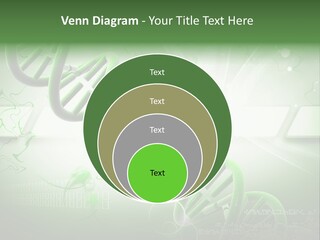 Organ Illustration Cell PowerPoint Template