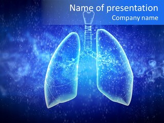 Section Lymph White PowerPoint Template