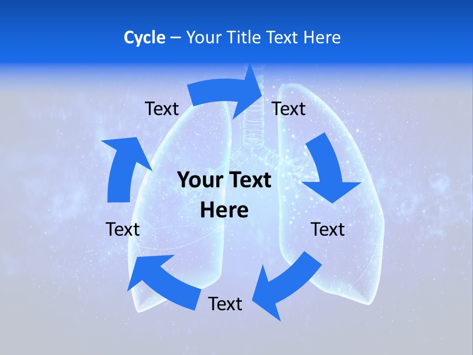 Section Lymph White PowerPoint Template